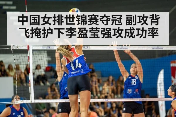 volleyball match