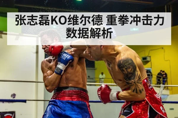 张志磊KO维尔德 重拳冲击力数据解析