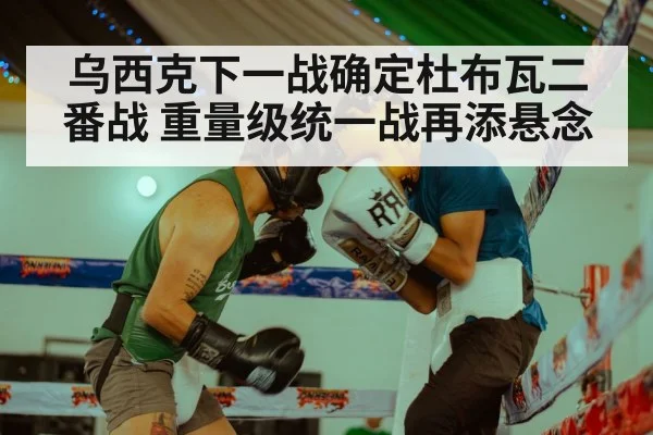 乌西克下一战确定杜布瓦二番战 重量级统一战再添悬念